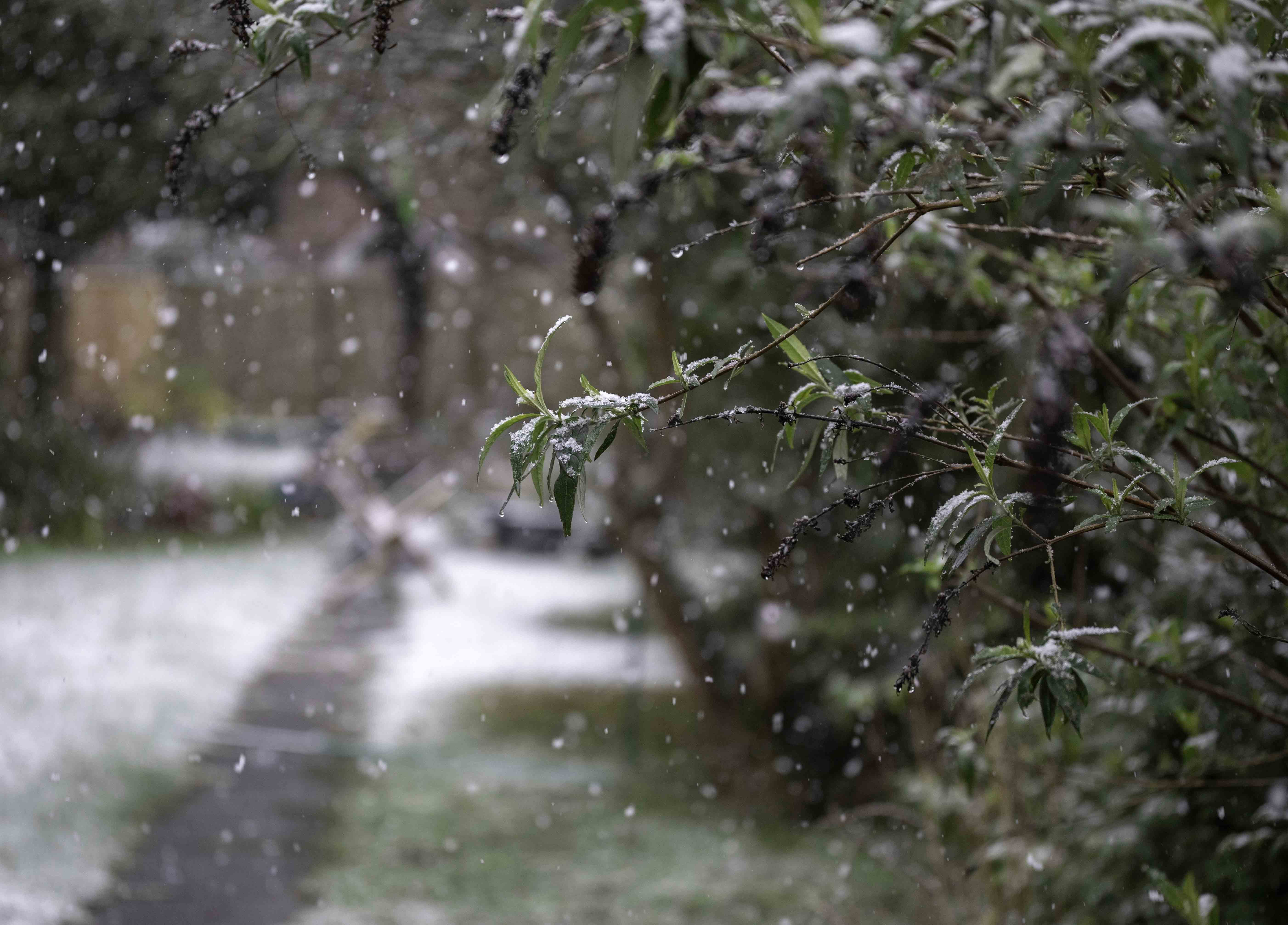 Cold Front to Bring Snow and Temperature Drop Across Central and Eastern China
